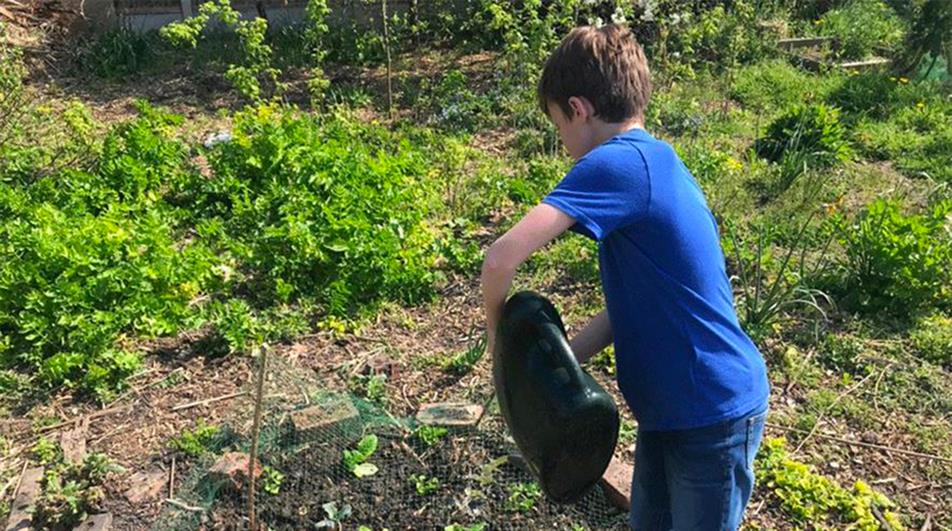 allotment